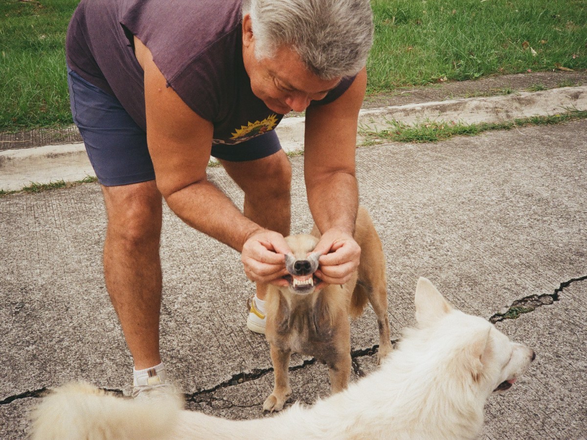 Film in the Fast-paced World