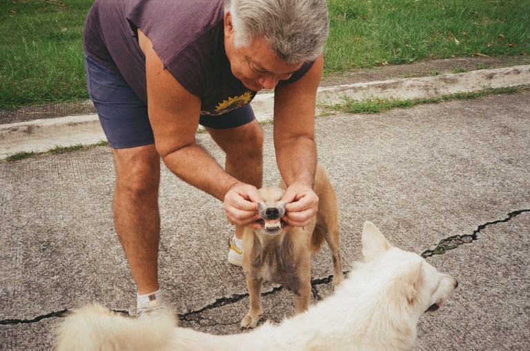 Film in the Fast-paced World